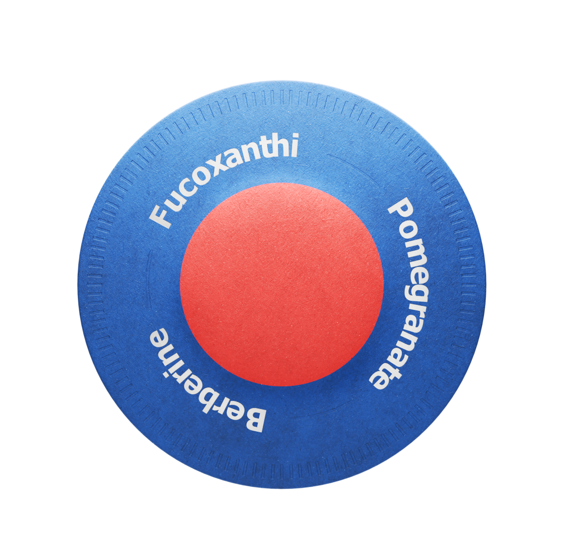 Purisaki Berberine Patch — front view
